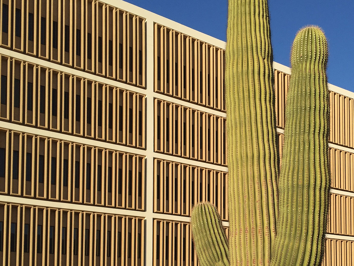 5th Avenue Medical Building by Al Beadle