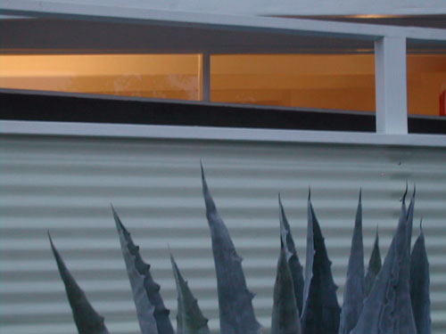 The Allison Residence aka the Flagship in Marlen Grove designed by Ralph Haver
