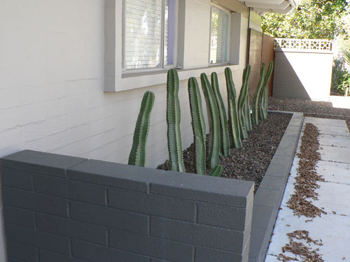 Marlen Grove homes designed by Ralph Haver