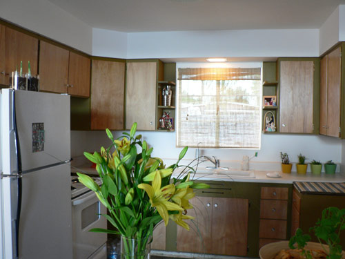 50th Anniversary of Town & Country neighborhood Home Tour Ralph Haver