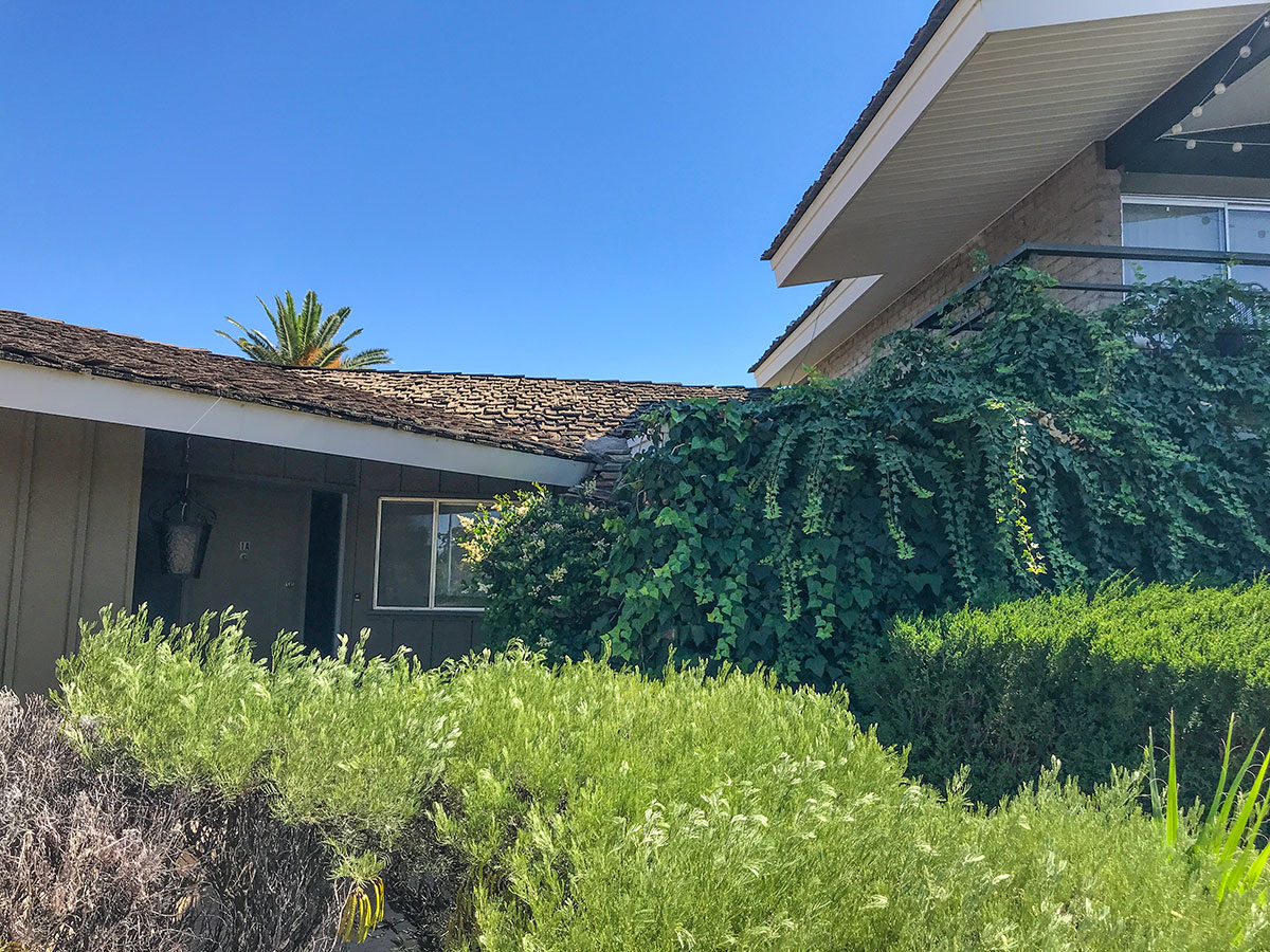 Teakwoood Apartments in Uptown Phoenix Arizona