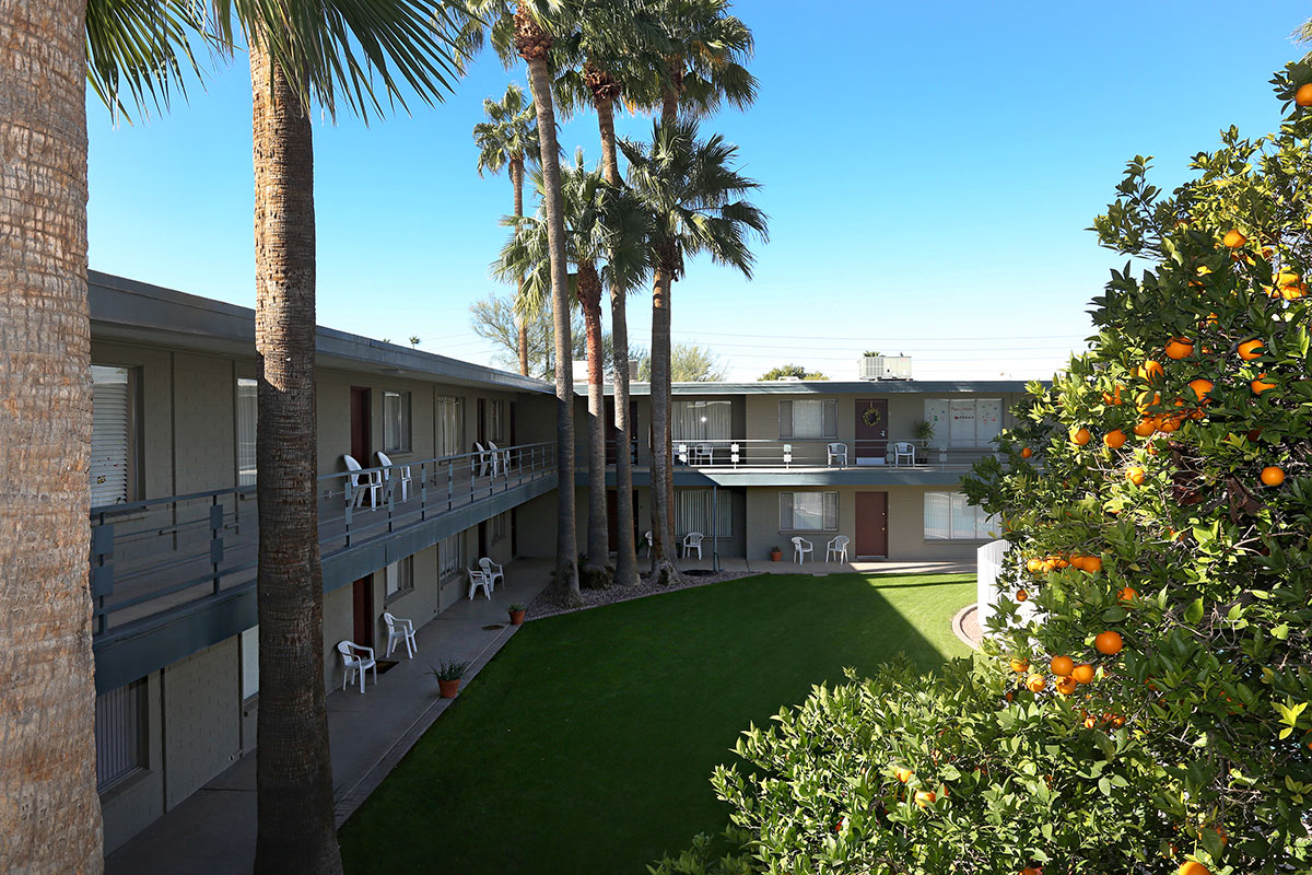 Granada in Scottsdale by Kim Perina