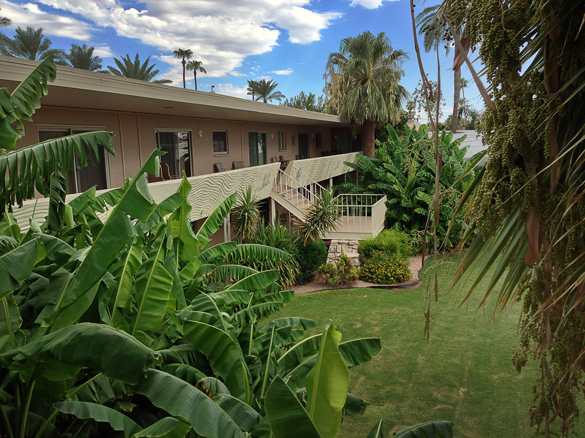 Scottsdale Palms on Modern Phoenix
