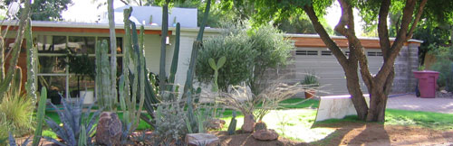 Camelback Park Estates neighborhood in Phoenix