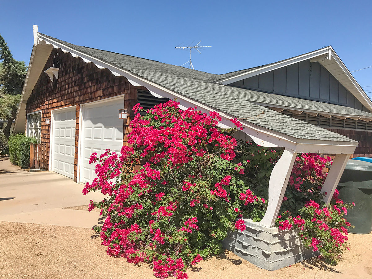 Olive Acres neighborhood in Phoenix