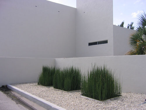Modernism in Sarasota, Florida